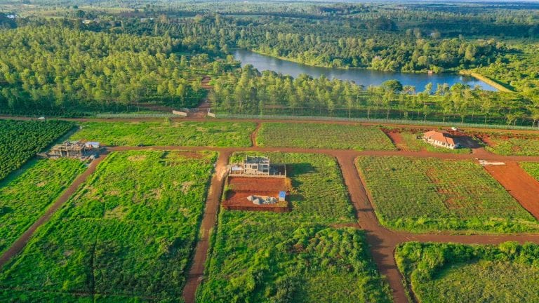 1/8 acre Plots
