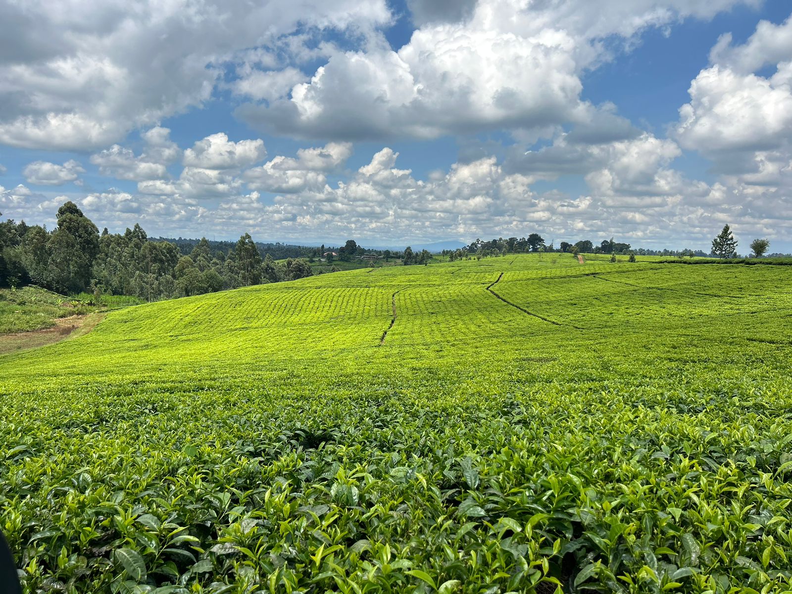 WhatsApp Image 2025-10-11 at 08.41.10 (13)