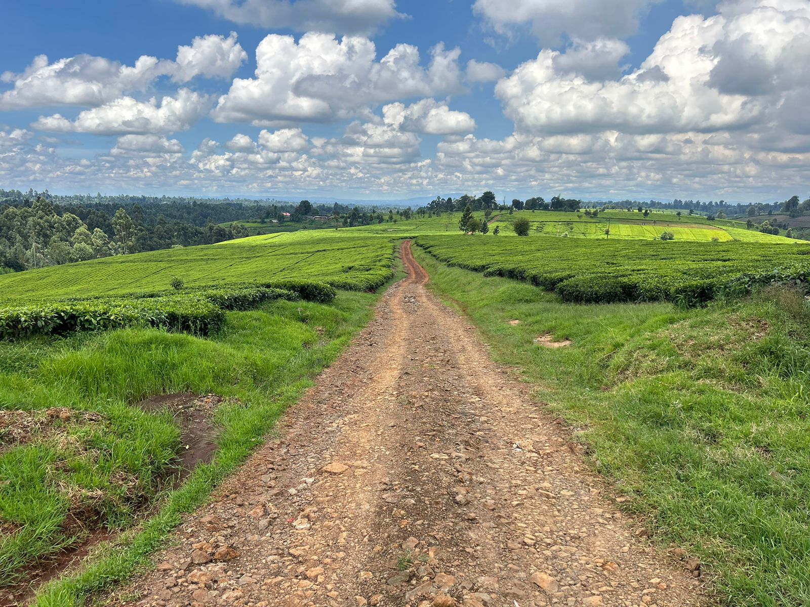 WhatsApp Image 2025-10-11 at 08.41.10 (6)